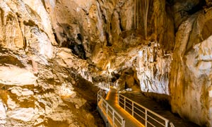 Cuevas de Oñati - Arrikrutz